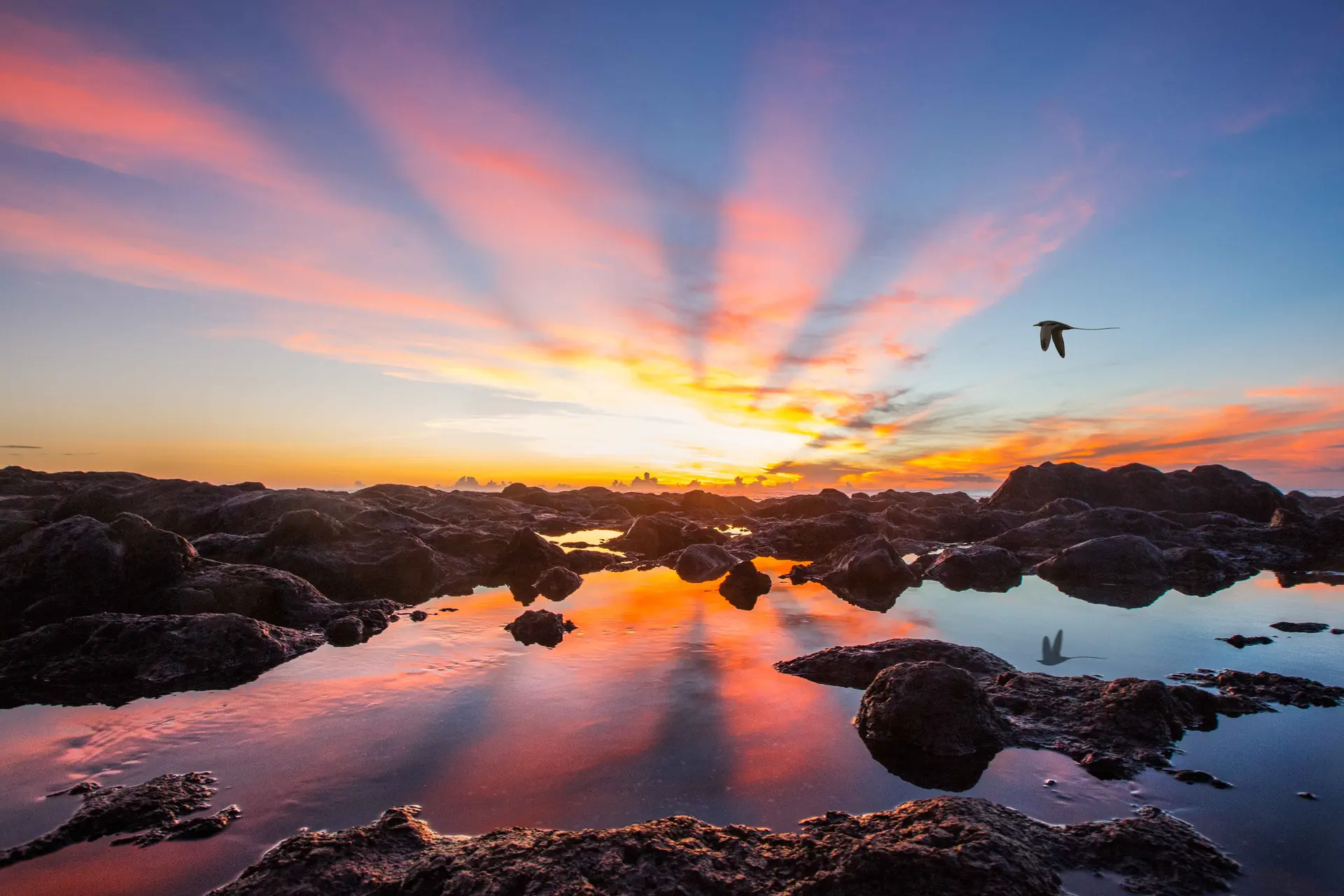 Coucher de soleil sur les reflets sur l'ile de la reunion Photographie artistique d’un coucher de soleil aux reflets dorés sur l’eau, réalisée par Tijoe Photographe en Alsace.