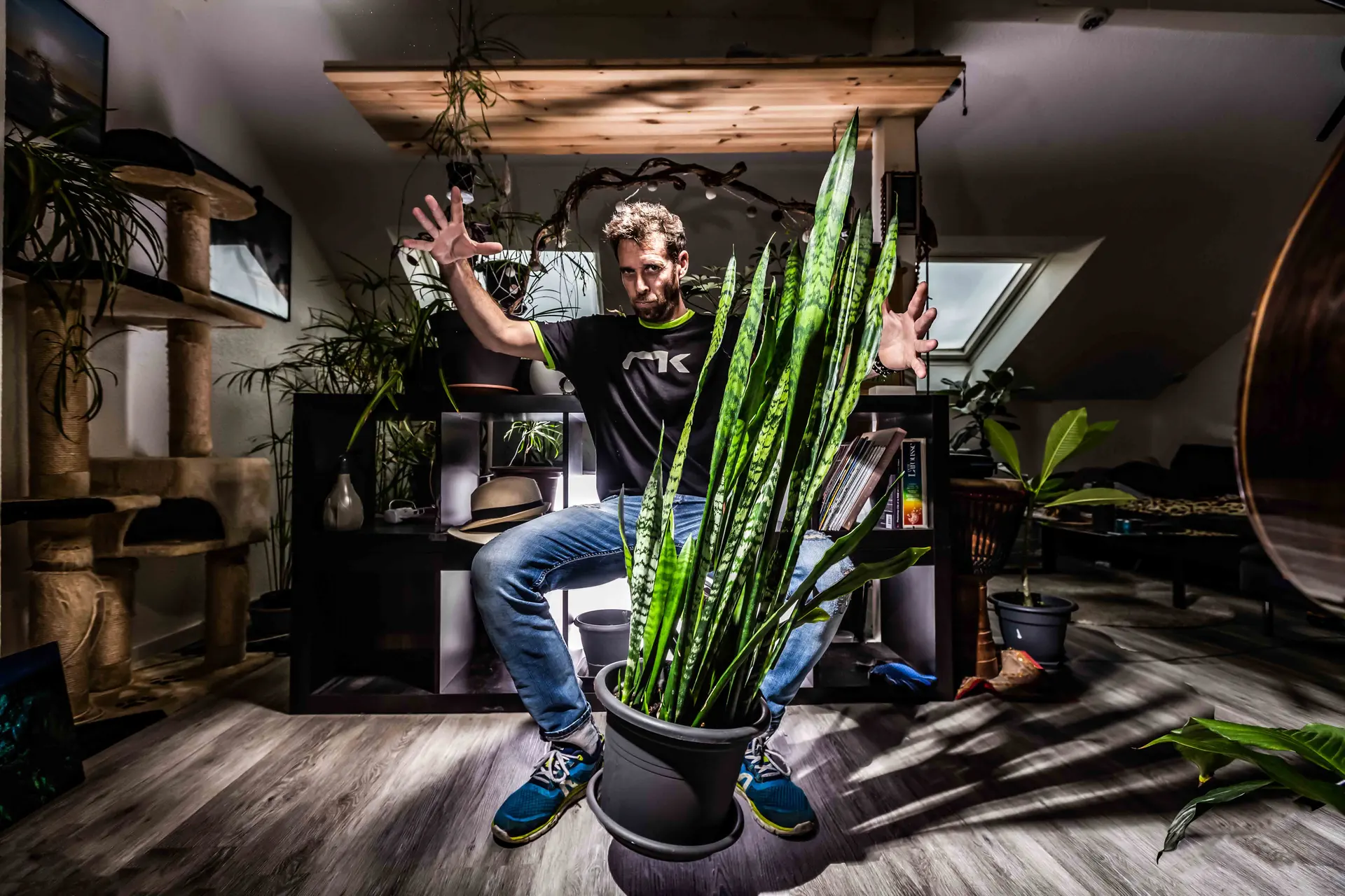 Photomontage créatif nature – Tijoe photographe à Mulhouse Photomontage créatif réalisé par Tijoe, photographe à Mulhouse, jouant avec la nature et la lumière dans une mise en scène humoristique.